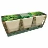 Ceramic Windowsill Herb Gift Set | Gift Set