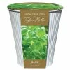 Indoor Basil Gift Set | Gift Set