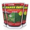 Canada Green Lawn Seed | 500g Treats 18.6m²