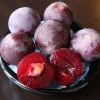 Plumcot Flavor King (Pluot Series) | Vva-1 12lt (bush)
