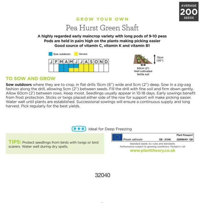 'Hurst Green Shaft' Pea Seeds | By Plant Theory 3 'Hurst Green Shaft' Pea Seeds | By Plant Theory - Image 3