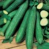 'Telegraph Improved' Cucumber Seeds | By Plant Theory