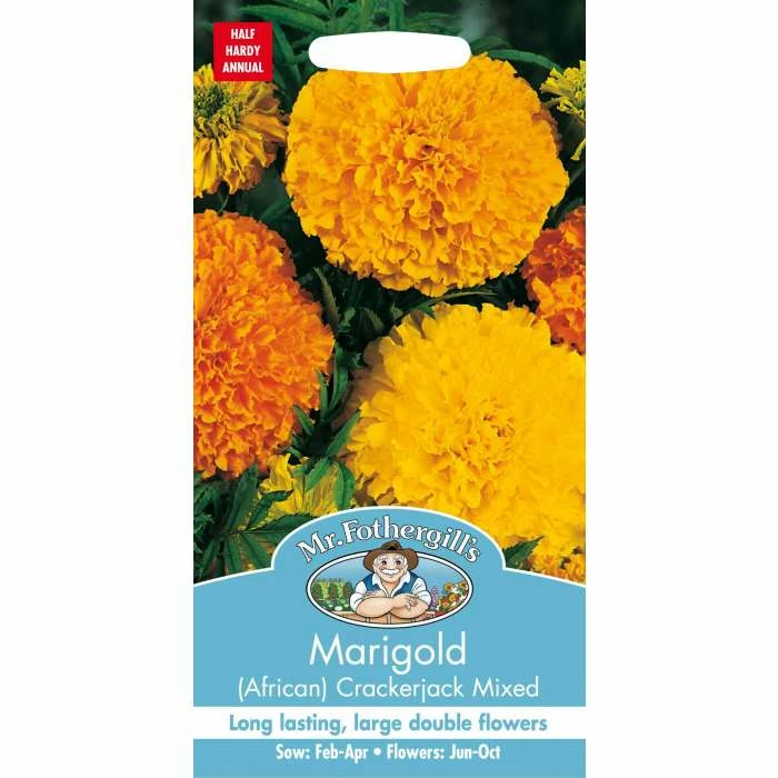 Marigold African 'Crackerjack' Mixed Seeds | Tagetes Patula | By Mr Fothergills 2 Marigold African 'Crackerjack' Mixed Seeds | Tagetes Patula | By Mr Fothergills - Image 2