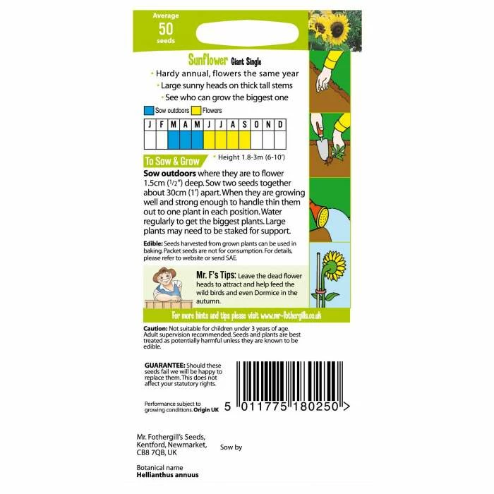 Sunflower 'Bags Of Sunshine' Seeds | Helianthus Annuus | By Mr Fothergills 3 Sunflower 'Bags Of Sunshine' Seeds | Helianthus Annuus | By Mr Fothergills - Image 3