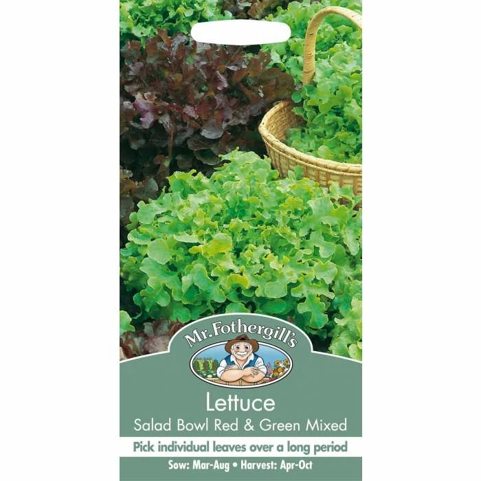 Salad Bowl Red & Green Mixed Lettuce Seeds | Lactuca Sativa | By Mr Fothergills 2 Salad Bowl Red & Green Mixed Lettuce Seeds | Lactuca Sativa | By Mr Fothergills - Image 2