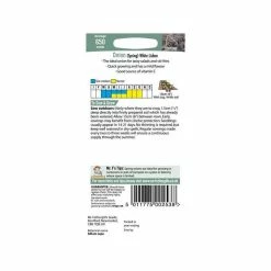 Spring Onion 'White Lisbon' Seeds | Allium Cepa | By Mr Fothergills -botanical garden shop PL92474 add image 2 f003