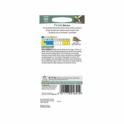 Parsnip 'White Gem' Seeds | Pastinaca Sativa | By Mr Fothergills -botanical garden shop PL92477 add image 2 c71d