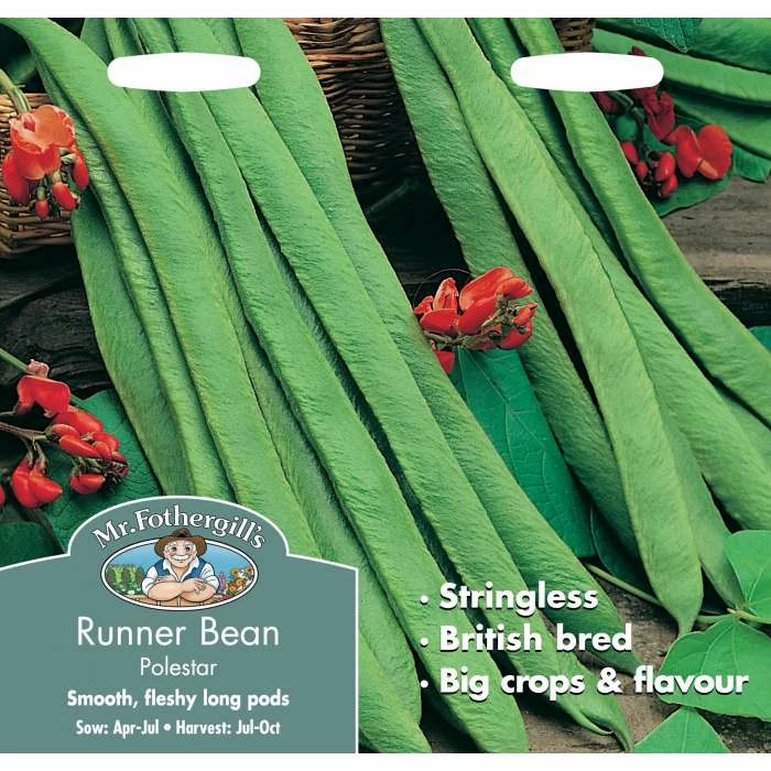 Runner Bean 'Polestar' Seeds | Phaseolus Coccineus | By Mr Fothergills 2 Runner Bean 'Polestar' Seeds | Phaseolus Coccineus | By Mr Fothergills - Image 2