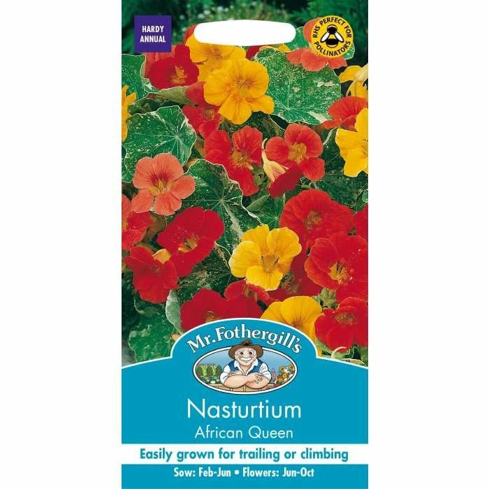 Nasturtium 'African Queen' Seeds| Tropaeolum Majus | By Mr Fothergills 2 Nasturtium 'African Queen' Seeds| Tropaeolum Majus | By Mr Fothergills - Image 2