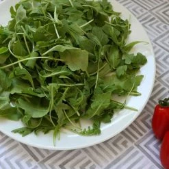 Rocket Cultivated | Approx 5000 Seeds