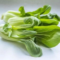 Pak Choi Joi Choi F1 | Approx 125 Seeds