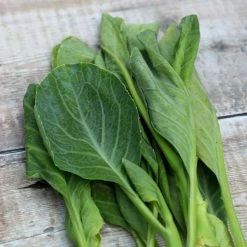 Kailaan / Kai-lan | Approx 200 Seeds