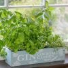 Gin Cocktail Herb Garden Kit | Gift Set