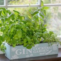 Gin Cocktail Herb Garden Kit | Gift Set