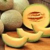 Melon Charentais | Approx 8 Seeds