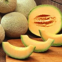 Melon Charentais | Approx 8 Seeds