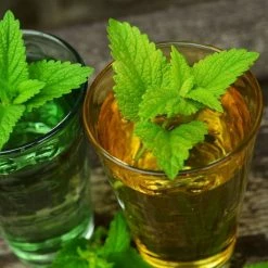 Melissa Officinalis | Approx 500 Seeds