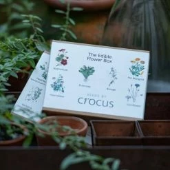 Edible Flower Collection Seed Gift Box | Gift Box