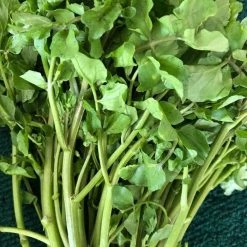 Watercress | Approx 2000 Seeds
