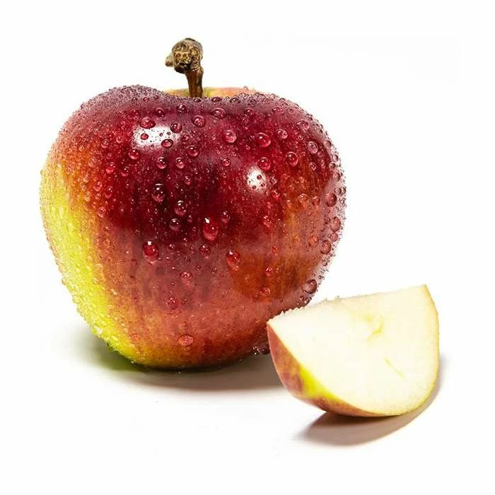 4-5ft 'Spartan' Dessert Apple Tree | M26 Semi Dwarfing Rootstock | 9L Pot 1 4-5ft 'Spartan' Dessert Apple Tree | M26 Semi Dwarfing Rootstock | 9L Pot