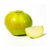 4-5ft 'Bramley's Seedling' Cooking Apple Tree | M26 Semi Dwarfing Rootstock | 9L Pot