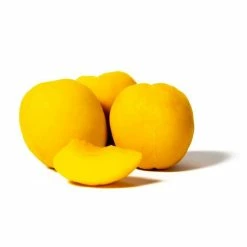 4-5ft 'Tomcot' Apricot Tree | Myrobalan Semi Vigorous Rootstock | 9L Pot