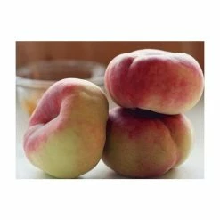 4-5ft 'Saturne' Flat Peach Tree | SJA Semi Vigorous Rootstock | Bare Root
