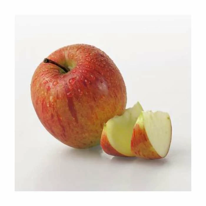 4-5ft 'Braeburn Hillwell' Dessert Apple Tree | MM106 Semi Vigorous Rootstock | Bare Root 5 4-5ft 'Braeburn Hillwell' Dessert Apple Tree | MM106 Semi Vigorous Rootstock | Bare Root - Image 5
