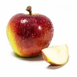 4-5ft 'Spartan' Dessert Apple Tree | MM106 Semi Vigorous Rootstock | Bare Root