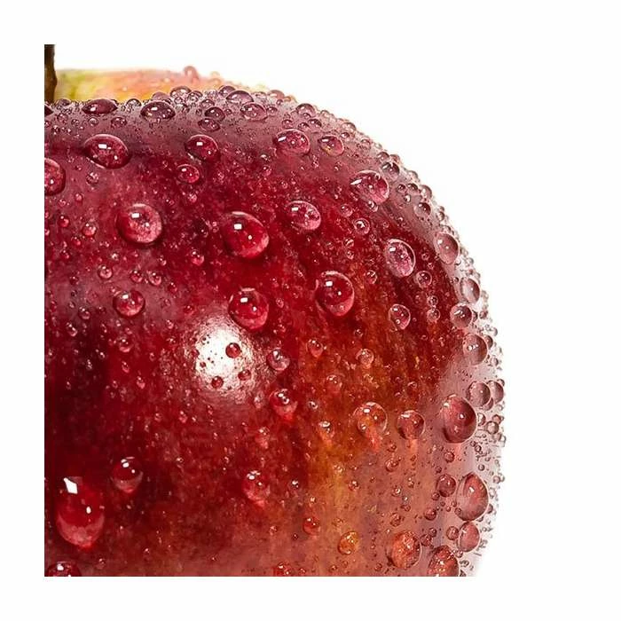 4-5ft 'Spartan' Dessert Apple Tree | MM106 Semi Vigorous Rootstock | Bare Root 2 4-5ft 'Spartan' Dessert Apple Tree | MM106 Semi Vigorous Rootstock | Bare Root - Image 2